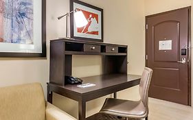 Staybridge Suites St. Petersburg Fl By Ihg
